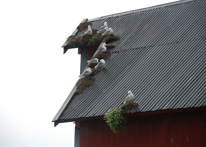 Salteriet Vandrarhem Å