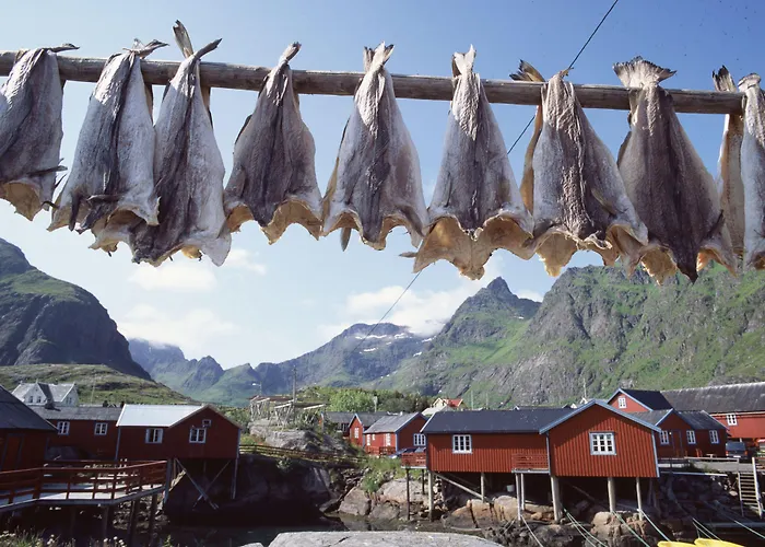 Salteriet Vandrarhem *